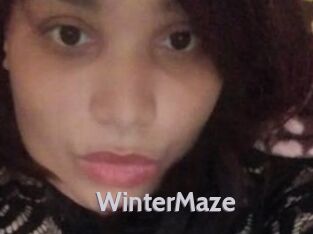 Winter_Maze