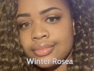 Winter_Rosea