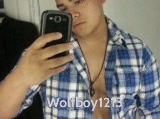 Wolfboy1213