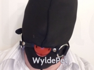 WyldePet Live Cam 66