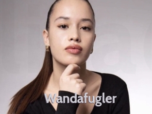 wandafugler Live Cam 66