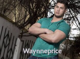 Waynneprice