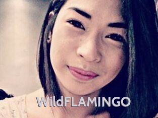 WildFLAMINGO