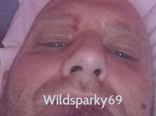 Wildsparky69