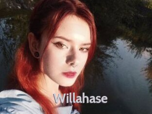 Willahase