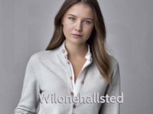 wilonehallsted Live Cam 66