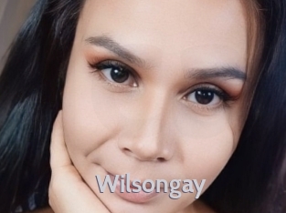 wilsongay Live Cam 66