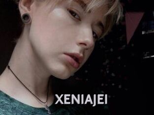 XENIA_JEI