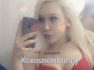 Xoxosnowbunny