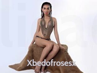 Xbedofrosesx