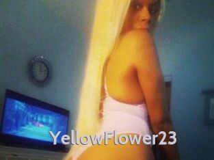 YellowFlower23