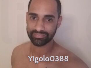 Yigolo0388
