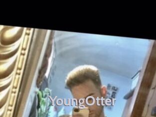 YoungOtter