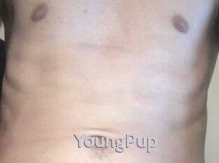 YoungPup