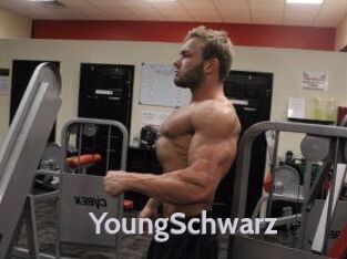 YoungSchwarz