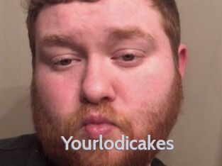 Yourlodicakes
