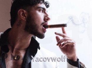 yacovwolf Live Cam 66