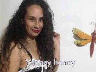 Yannay_honey