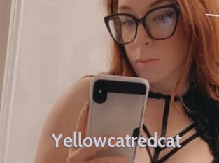 Yellowcatredcat