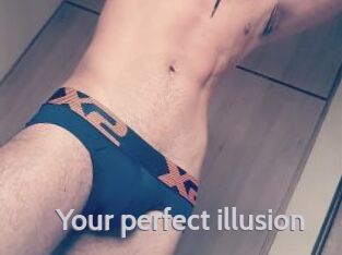 Your_perfect_illusion