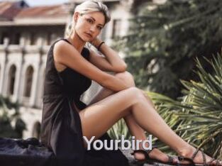 Yourbird