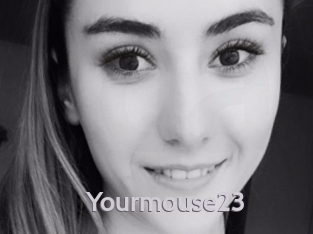 Yourmouse23