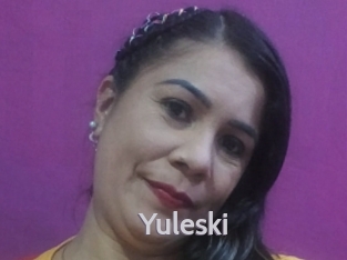 yuleski Live Cam 66