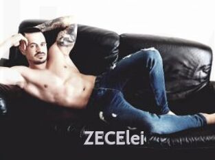 ZECElei