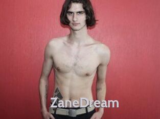 ZaneDream