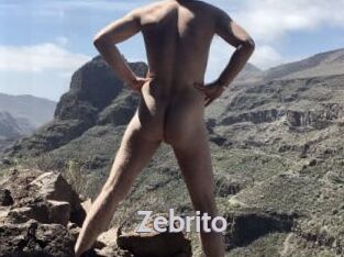 Zebrito
