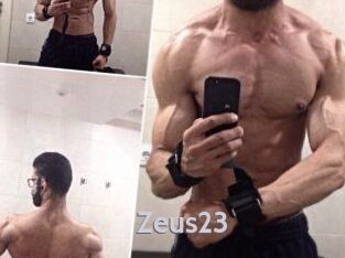 Zeus23