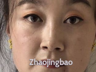 Zhaojingbao