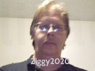 Ziggy2020