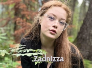 Zadnizza