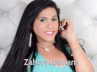 zahorycolmans Live Cam 66