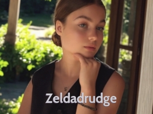 Zeldadrudge