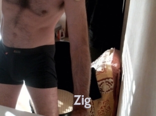 zig Live Cam 66
